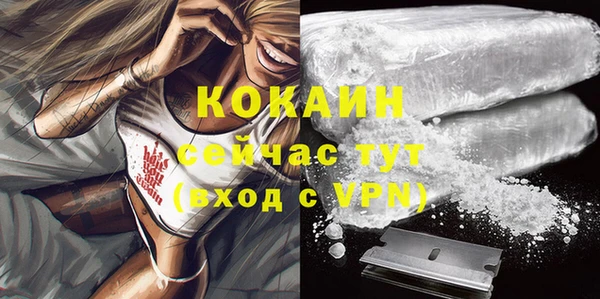 спиды Киреевск