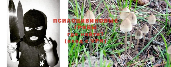 спиды Киреевск