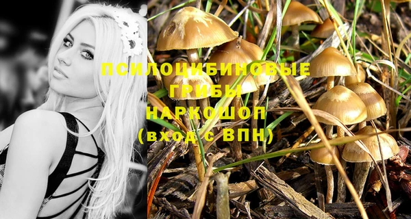 кокс Киренск