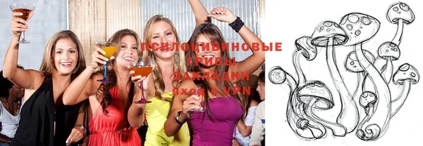 спиды Киреевск