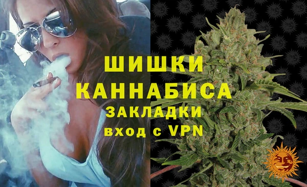 твердый Козельск